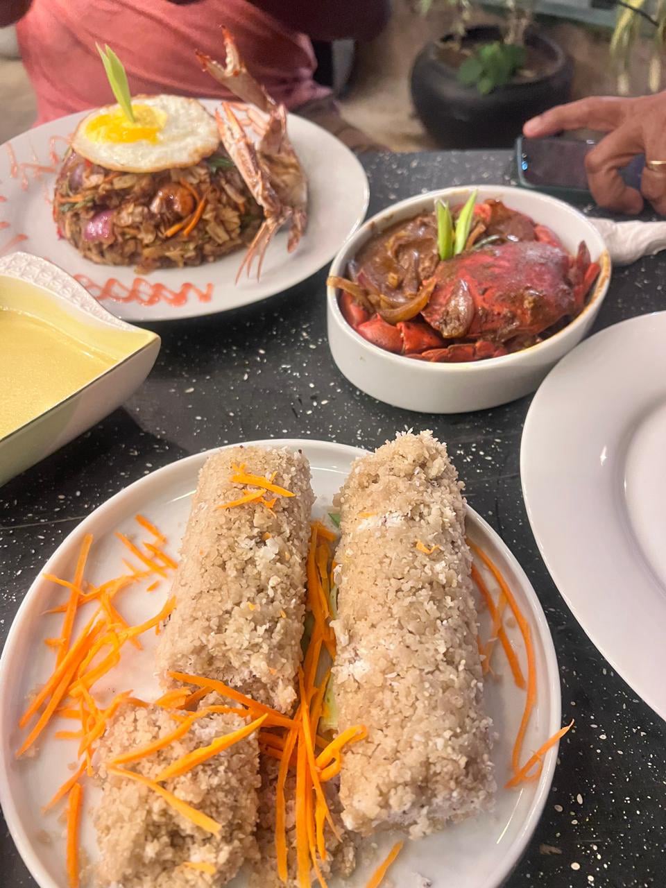 Aurora Tours and Travels