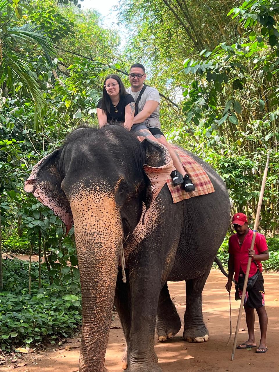 Aurora Tours and Travels