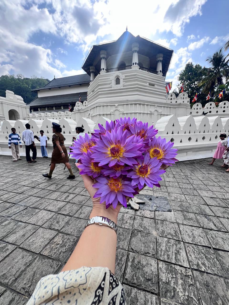 Aurora Tours and Travels